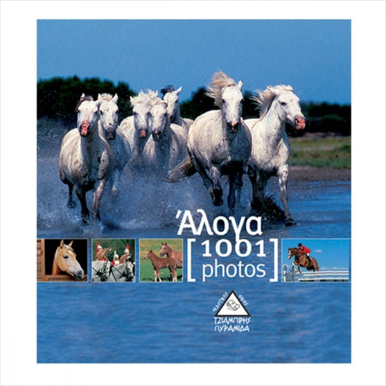 https://powersoft365customers.blob.core.windows.net/he893705-simos-vrikkis-bookshop-ltd/Items/9789608208681.jpg